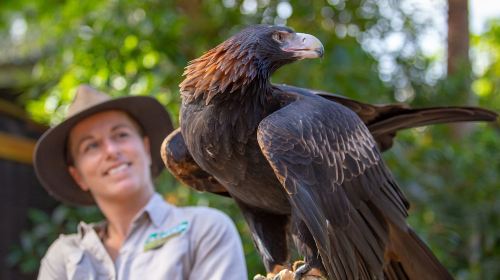 Currumbin Wildlife Sanctuary