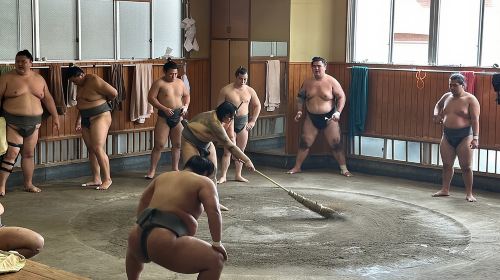 Tokyo: Visit Sumo Morning Practice with English Guide Day Tours