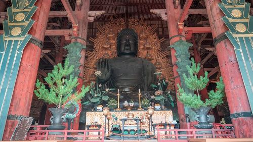 Discover Ancient Nara: Private Car Tour from Kyoto or Osaka Day Tours