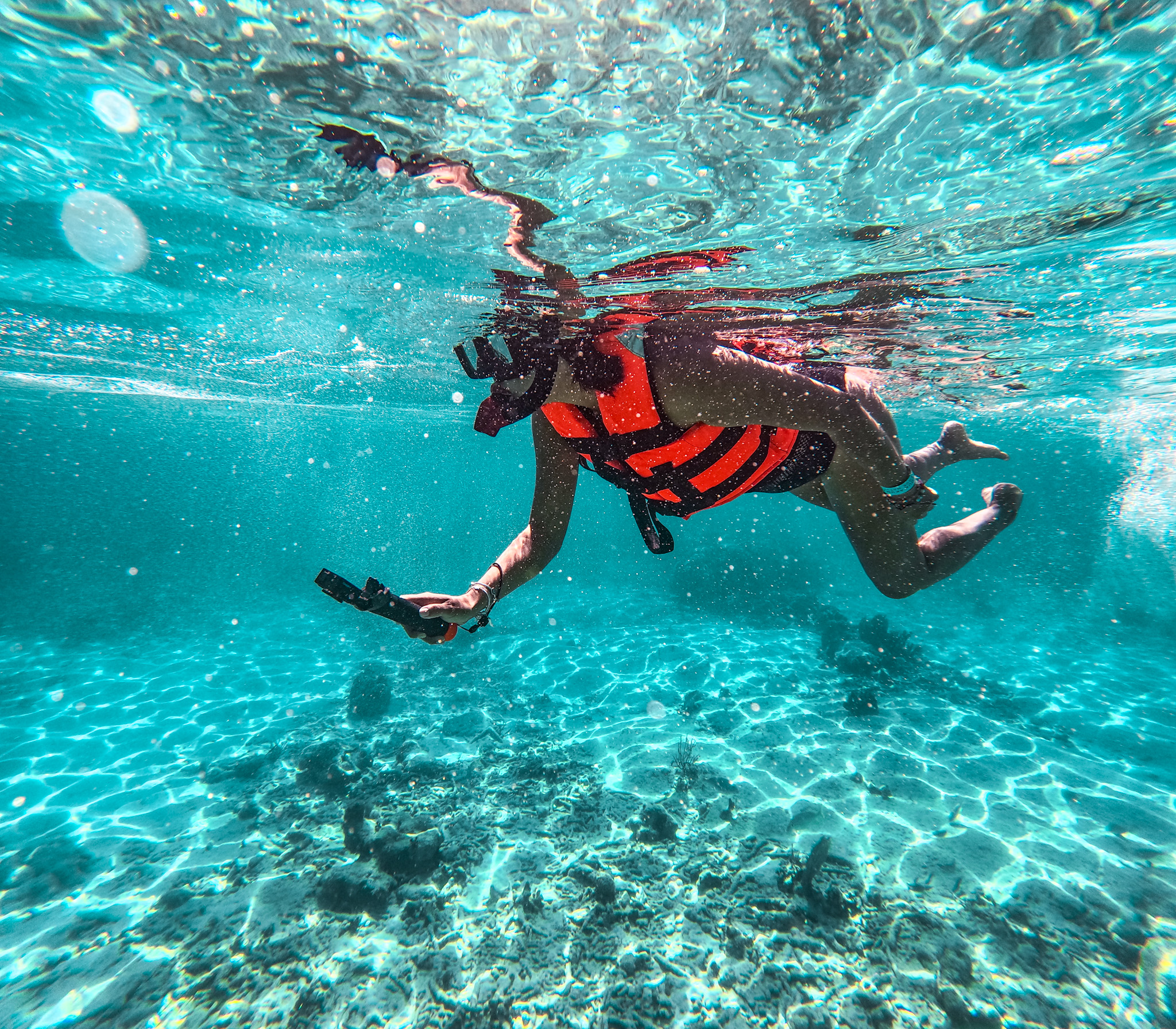 Akumal Turtles Swim Tour