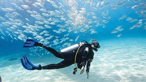 Dubai ScubaDive.ae + Jumeirah Beach diving experience scuba diving 0.5h