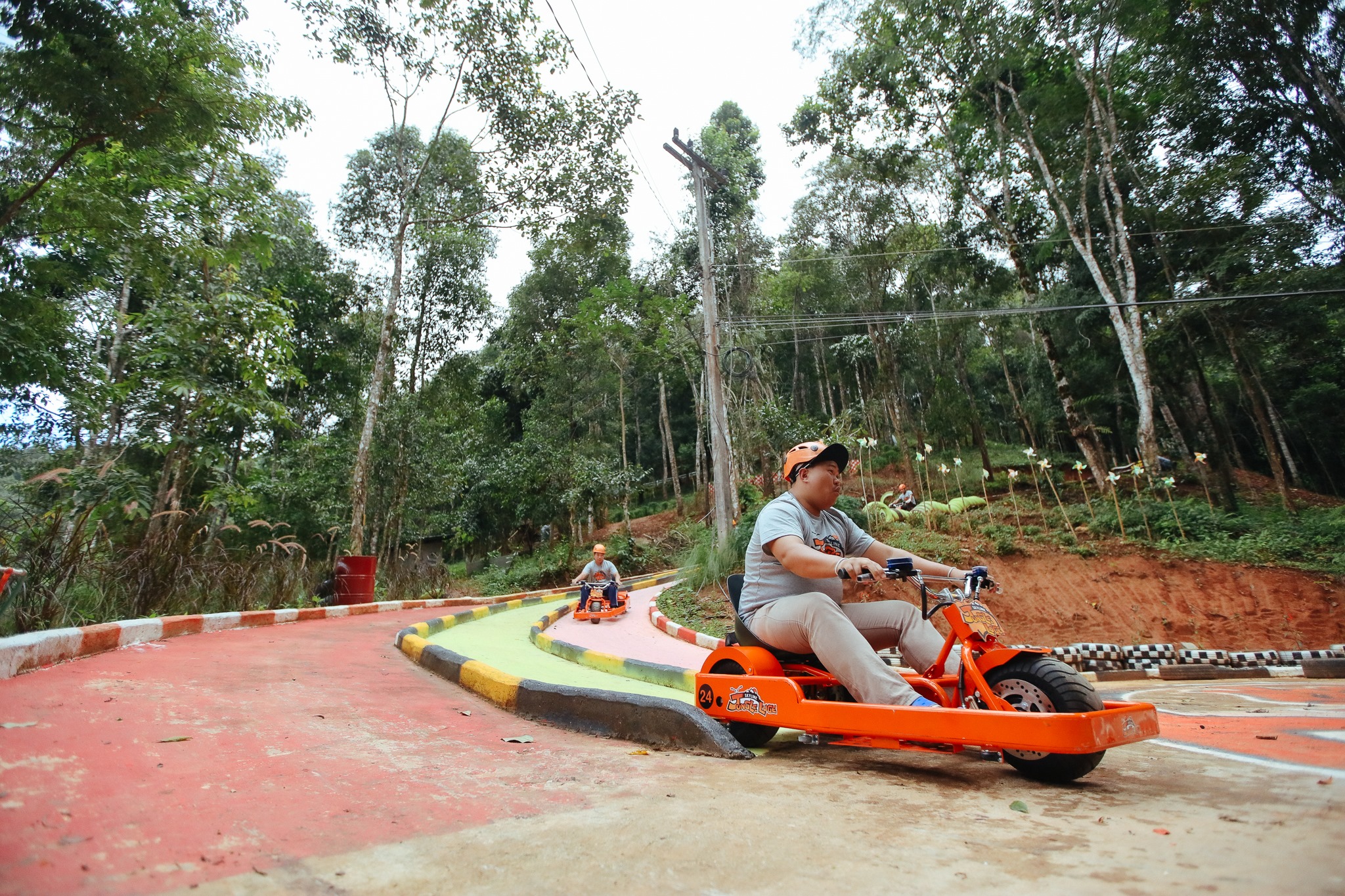 Skyline Jungle Luge