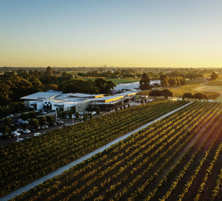 From Perth: Swan Valley Cruise, Winery, Cheese & Lunch