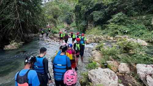 Cebu departure: Oslob Whale Shark Watching + Badian Kawasan Falls canyon adventure 1-day tour