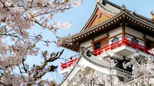 1-day private charter tour to Nagoya + Inuyama Castle + Magome-juku + Tsumago-juku in Japan