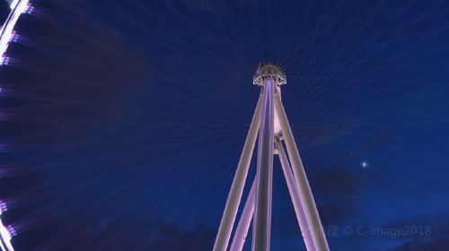 High Roller