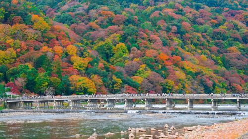 Kyoto in a Day: The Ultimate Top 4 Highlights Tour (From Osaka/Kyoto) Day Tours