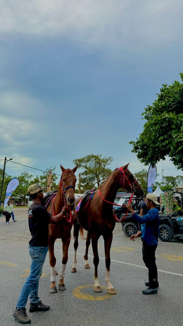 Desaru Fruit Farm Horse Riding Experience