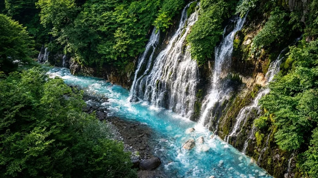 1-day tour to Hokkaido Forest Elf Terrace + Asahiyama Zoo + Shirahige Waterfall + Shirogane Blue Pond (Aoiike)