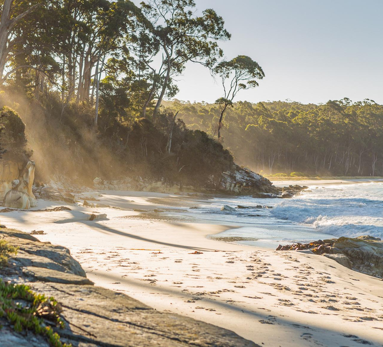 From Hobart: Full-Day Bruny Island Tour with Guide