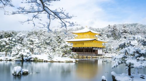 Fushimi Inari Taisha Day Tours