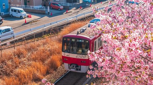 Best of Tokyo Private Tour English Driver &Customizable Itinerary Day Tours