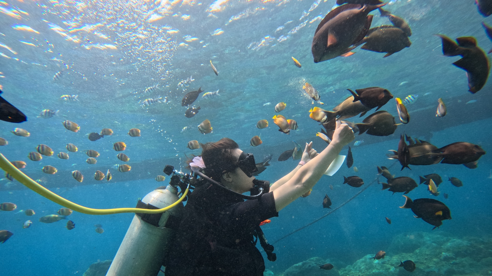 1#Ultimate Caspla Tour & Watersport Packages
