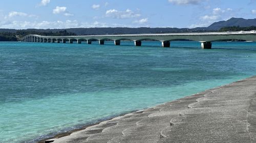 1-Day Tour in Northern Okinawa with Cape Manzamo, Aquarium and Kouri Island