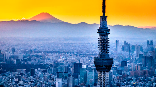 Private chartered tour in Tokyo and Izu to Mt. Omuro + Jogasaki Coast + Cactus Park. Customizable itinerary