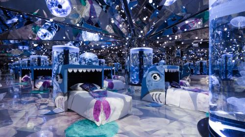 Xpark Overnight Experience | Blu Night Adventure