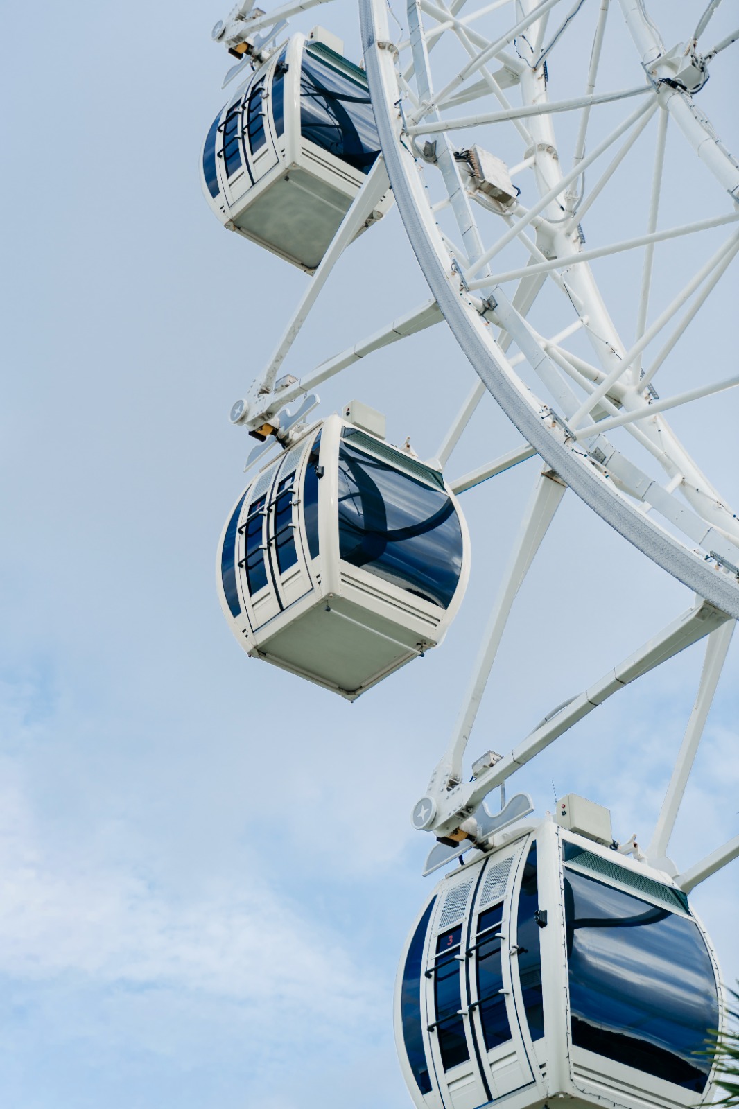 The Wheel Bali