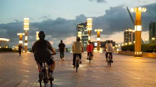 Tokyo Bay Area: Sunset Night View 3h E-bike Guided Tour Day Tours