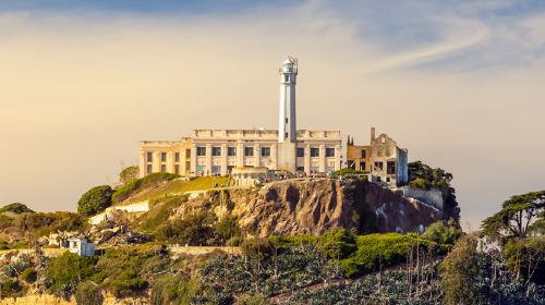 Alcatraz Island