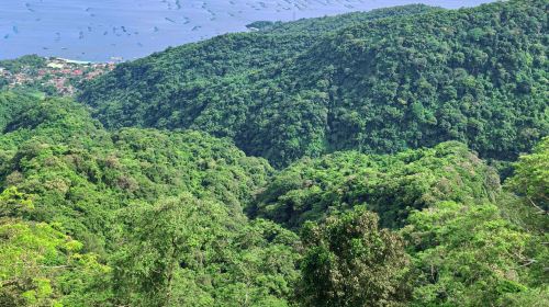 Philippines Manila Tagaytay 1-day tour – Tagaytay Starbucks, popular restaurant