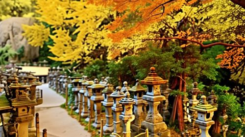 From Osaka Port: Private 10-Hour Nara Tour (with Customizable Itinerary)