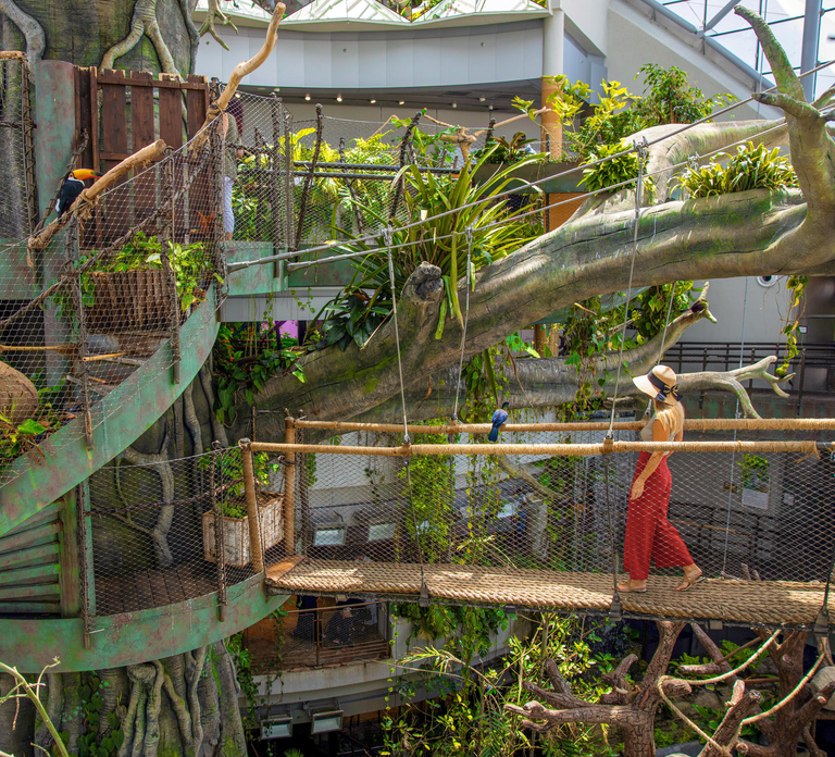 The Green Planet - Dubai's Unique Indoor Rainforest