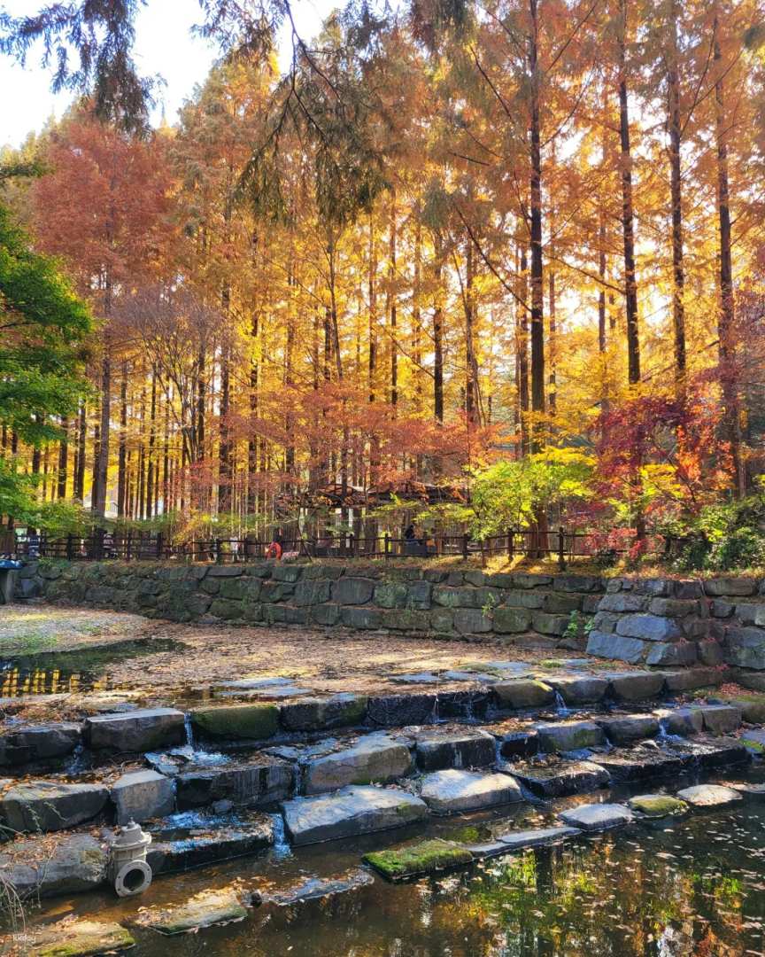 Seasonal | Jeonju Hanok Village and Jangtaesan, Daedunsan Serenity in Nature