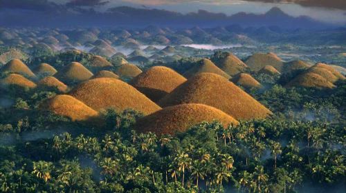 Bohol Island Dolphin Watching & Balicasag Island Snorkeling & Loboc River & Chocolate Hills & Tarsier & Butterfly Garden