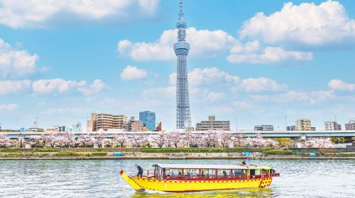 Tokyo private charter day tour with hotel pick-up – Licensed green-plate vehicles with English/Chinese-speaking drivers