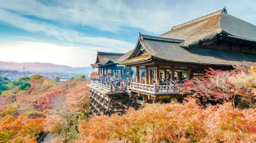 Kyoto & Nara 7 Major Spots Highlights Day Tour