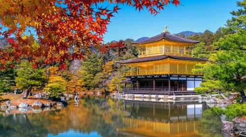 Kinkaku-ji + Arashiyama + Fushimi Inari Taisha + Nara Park one-day tour Day Tours