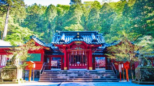 Hakone Lake Ashi & Atami Fireworks Festival Day Tour from Tokyo – Small Group Max 9