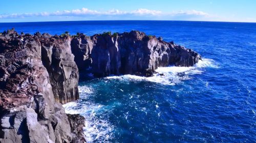 Izu Day Tour from Tokyo: Mount Omuro Ropeway & Shaboten Zoo with Ocean-View Train