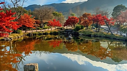 From Osaka Port: Private 10-Hour Kyoto Tour (with Customizable Itinerary)