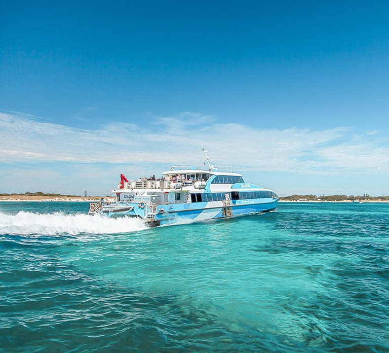 From Fremantle: Rottnest Island Ferry & Admission Ticket