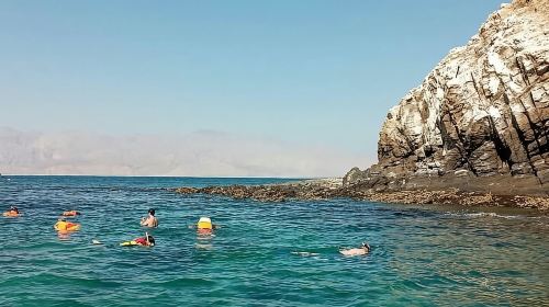 Full Day Musandam Cruise with Lunch and Snorkelling from Dubai Day Tours