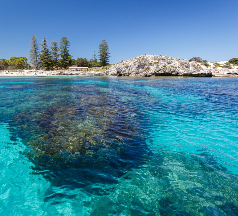 From Fremantle: Return Rottnest Island Ferry Ticket