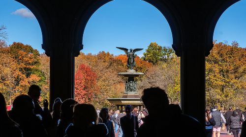 Central Park Private Pedicab Tour (60 mins) Day Tours