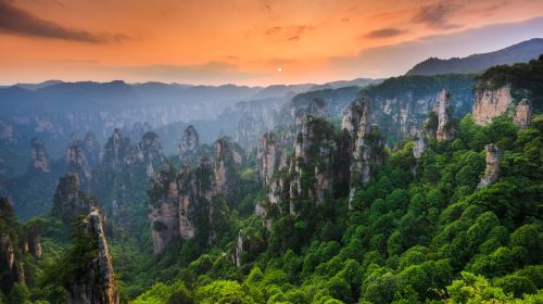 Zhangjiajie Grand Canyon Route A (Single Canyon)