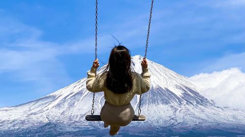 Mt. Fuji Makaino Ranch + Lake Tanuki Day Trip (Small Group Max 9 | Hotel Pick-up Option) Day Tours