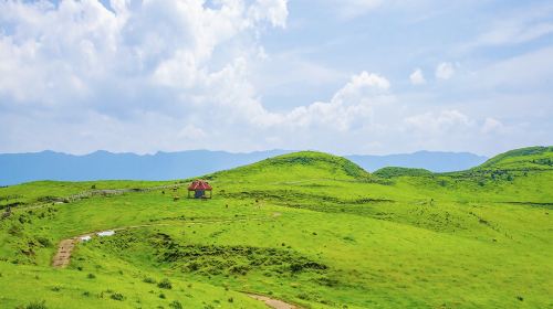 Kumamoto 1-Day Tour: Kamishikimi Kumanoimasu Shrine, Aso Volcano & Kurokawa Onsen