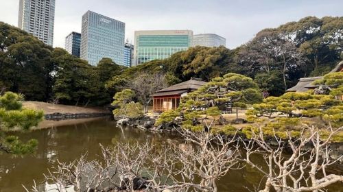 Tokyo: Japanese Garden Walking Tour with Tea and Sweets