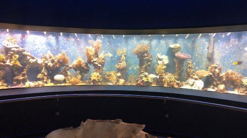Loebbecke-Museum und Aquazoo