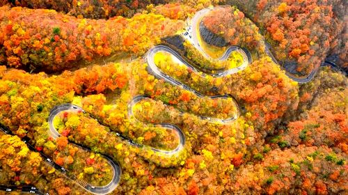 Nikko World Heritage Site, Toshogu Shrine, Lake Chuzenji, and Kegon Falls 1-day tour with Autumn Leaf Viewing Day Tours