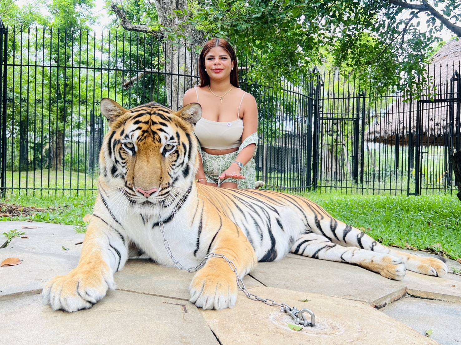 Chang Puak Camp Damnoen Saduak (Tiger & Liger Photo Experience)