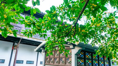 Lion Grove Garden(Shizilin Garden)