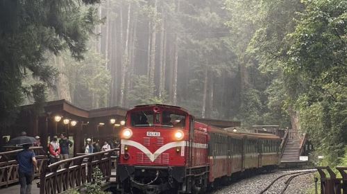 Alishan & Fenchihu Day Tour from Taichung Day Tours