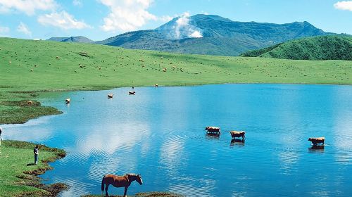 Kyushu: Aso Vocano, Grassland,Onsen and Aso shrine 1-Day Tour Day Tours
