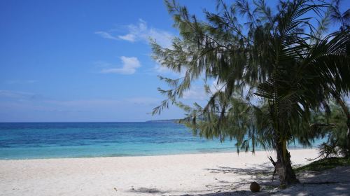 1-day tour to Puka Beach & Coral Garden in Boracay Island, Philippines – BBQ Lunch