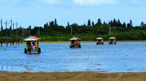 Okinawa Iriomote SUP or Canoe and Sightseeing in Yubujima Island